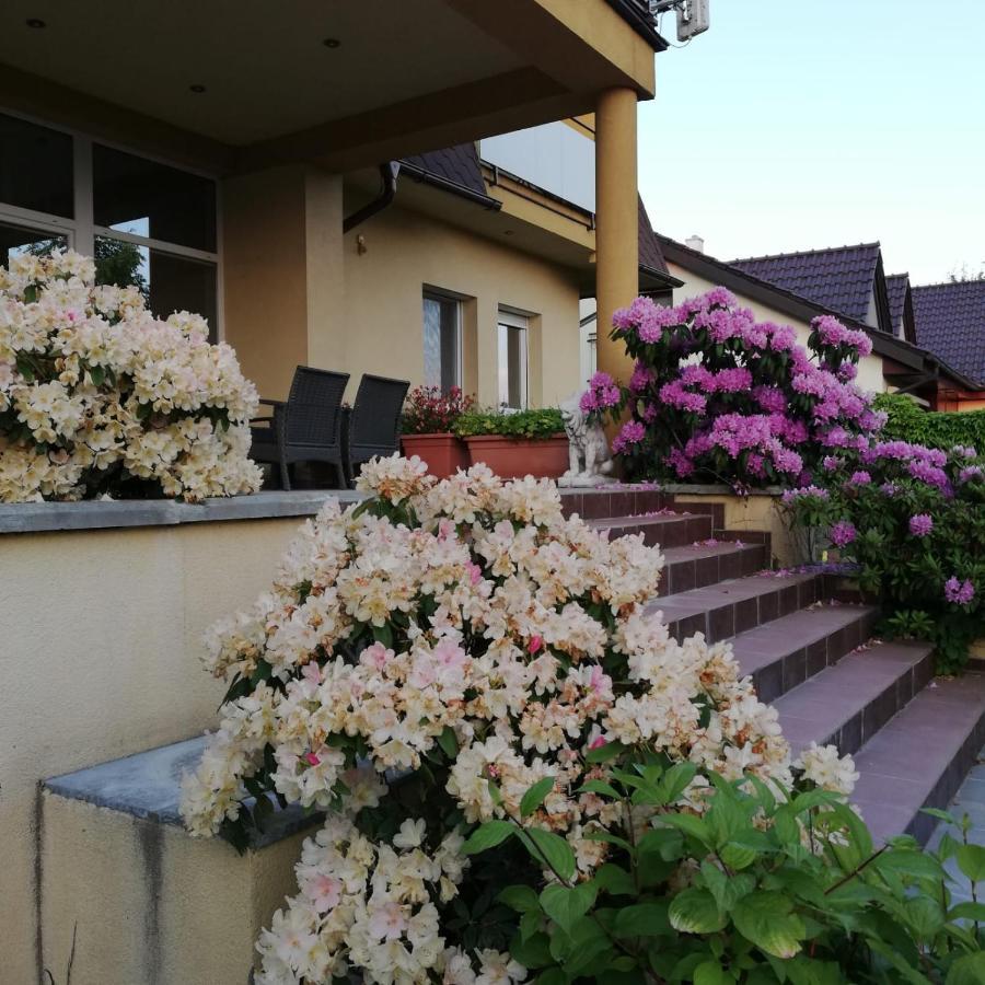 Hotel Rezident Consult S.R.O. Bratislava Exterior foto